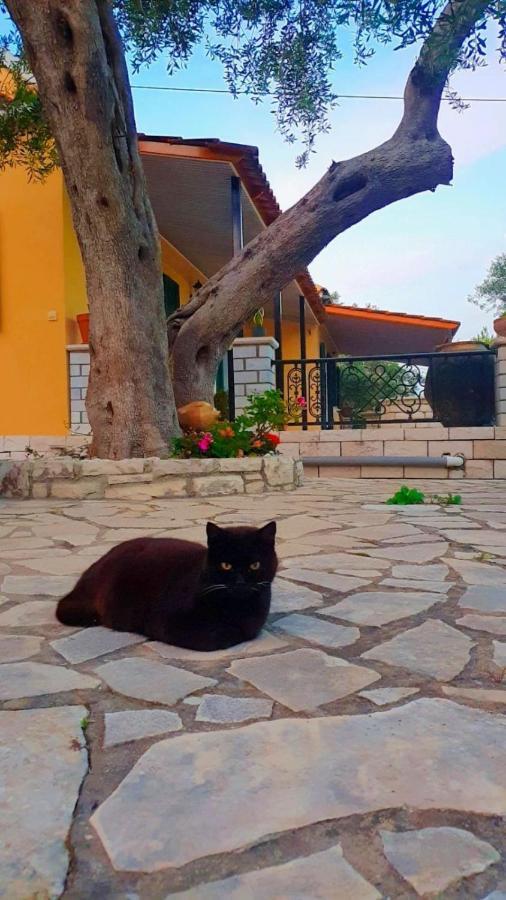 Villa Raxi Fountana Luaran gambar