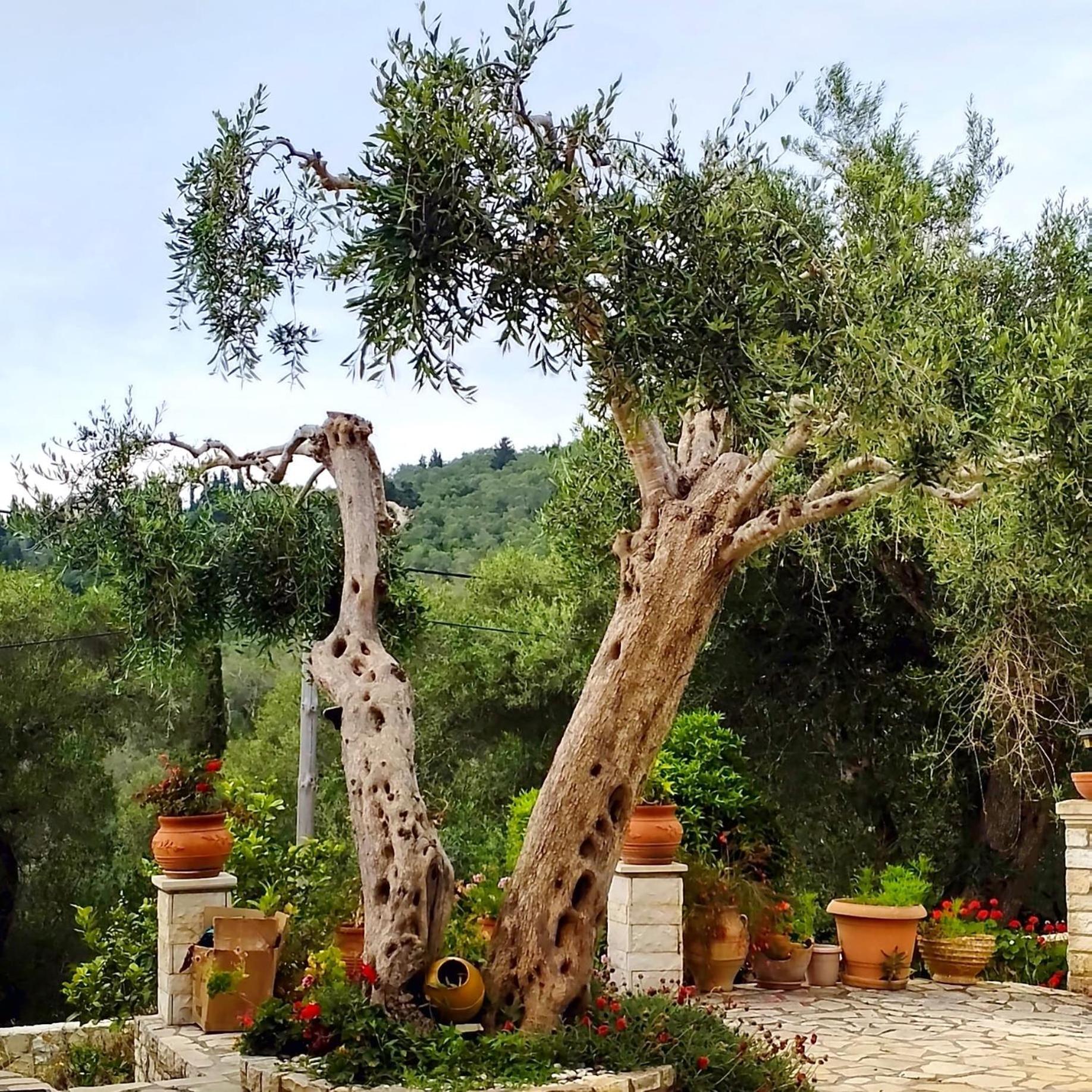 Villa Raxi Fountana Luaran gambar